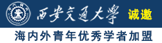 插入小骚穴视频诚邀海内外青年优秀学者加盟西安交通大学